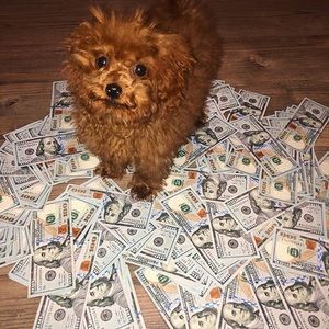 Meet your Posher, Omar